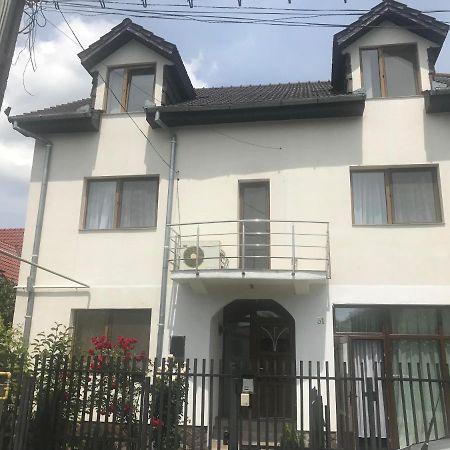 Spacious And Cozy 3Bd+Terrace Couples Apartment Тімішоара Екстер'єр фото