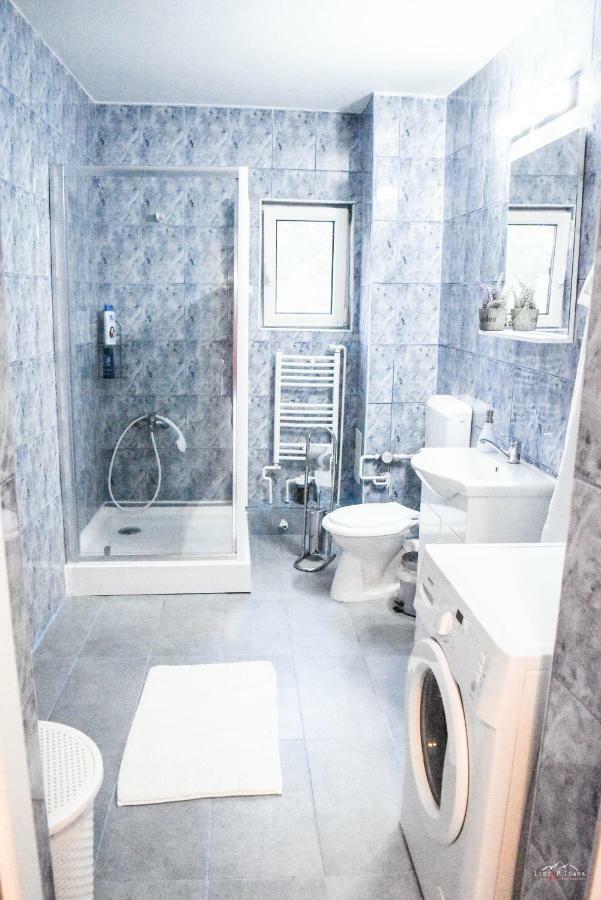 Spacious And Cozy 3Bd+Terrace Couples Apartment Тімішоара Екстер'єр фото