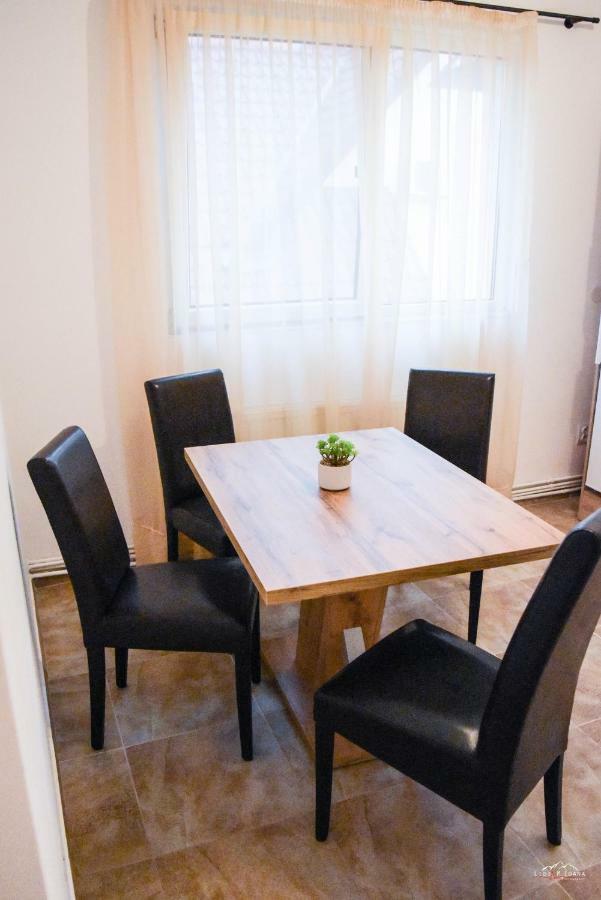 Spacious And Cozy 3Bd+Terrace Couples Apartment Тімішоара Екстер'єр фото