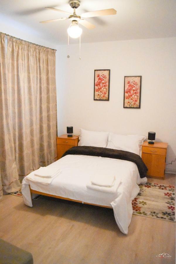 Spacious And Cozy 3Bd+Terrace Couples Apartment Тімішоара Екстер'єр фото