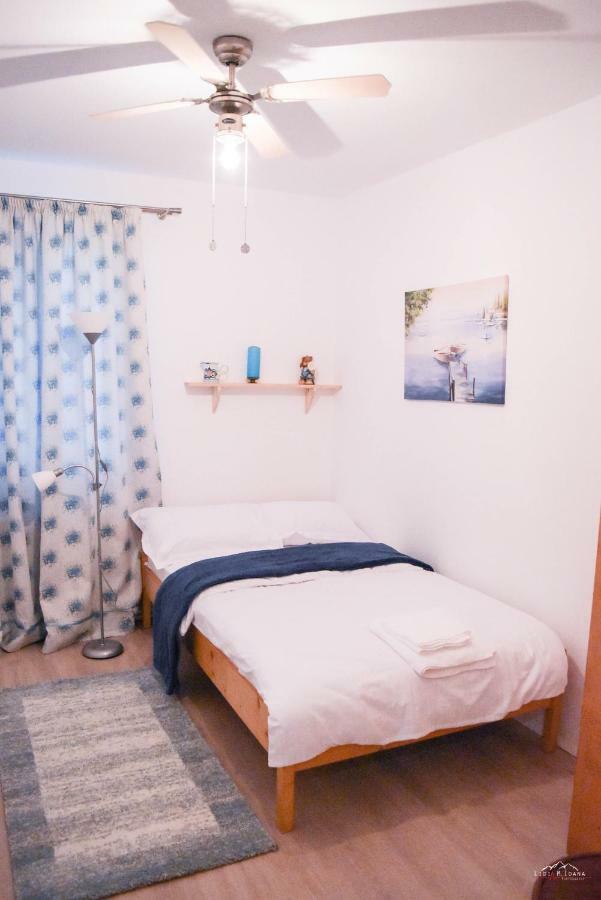 Spacious And Cozy 3Bd+Terrace Couples Apartment Тімішоара Екстер'єр фото