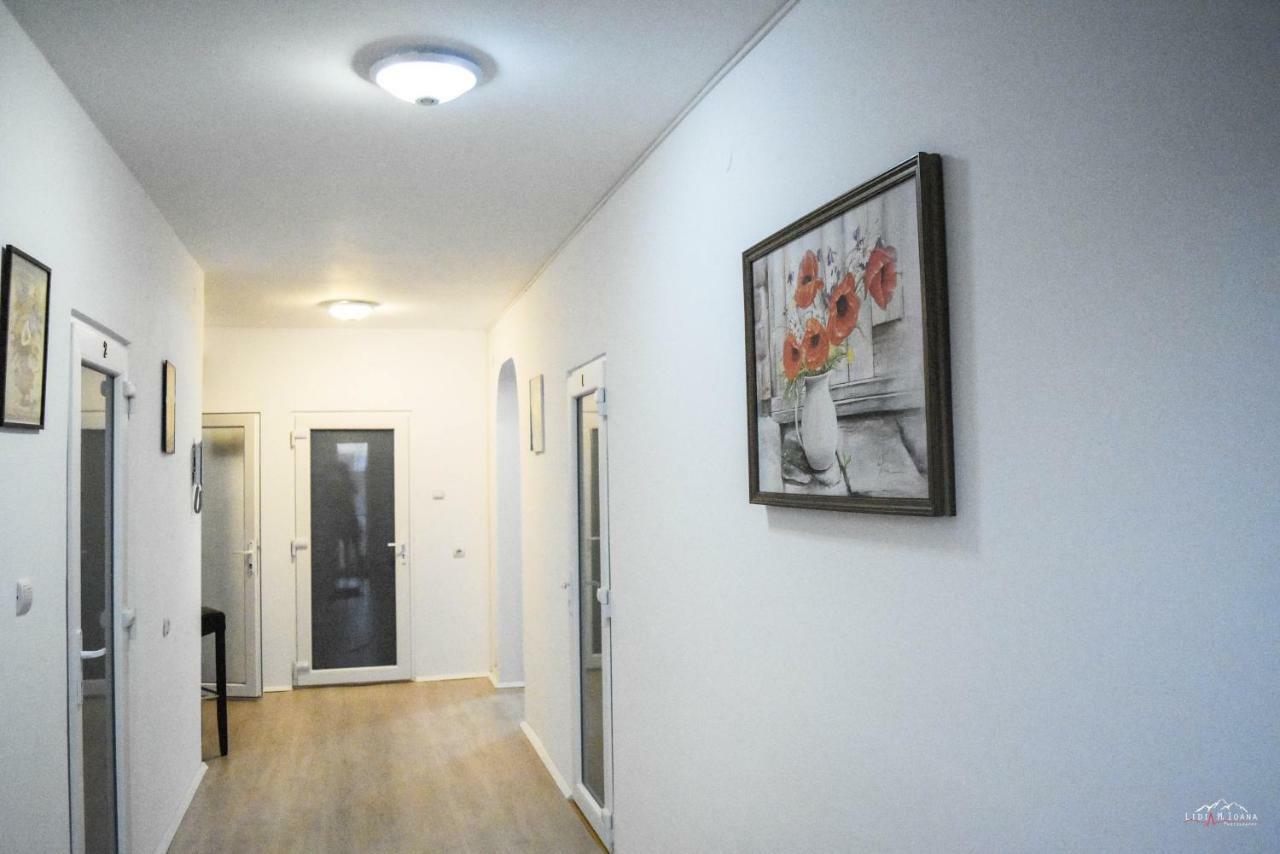 Spacious And Cozy 3Bd+Terrace Couples Apartment Тімішоара Екстер'єр фото