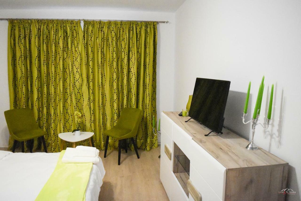 Spacious And Cozy 3Bd+Terrace Couples Apartment Тімішоара Екстер'єр фото