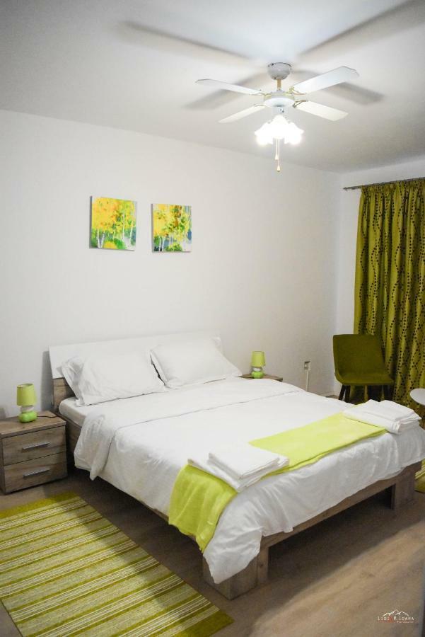 Spacious And Cozy 3Bd+Terrace Couples Apartment Тімішоара Екстер'єр фото