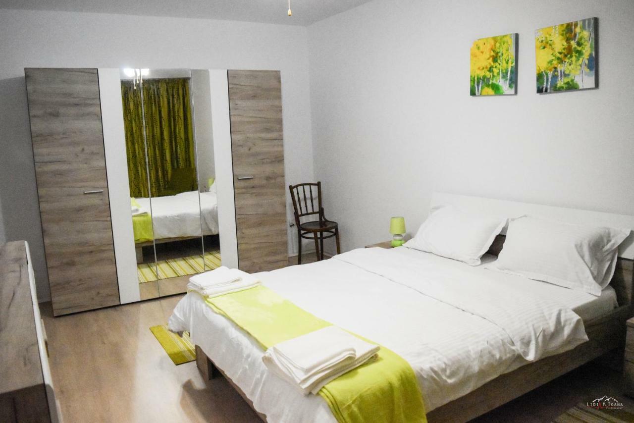 Spacious And Cozy 3Bd+Terrace Couples Apartment Тімішоара Екстер'єр фото