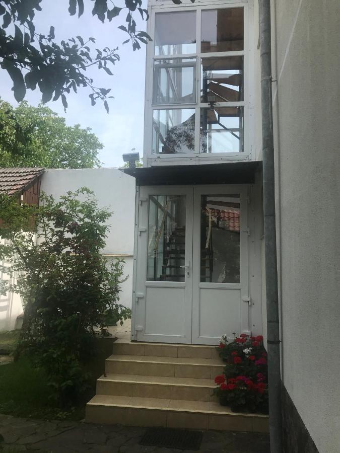 Spacious And Cozy 3Bd+Terrace Couples Apartment Тімішоара Екстер'єр фото