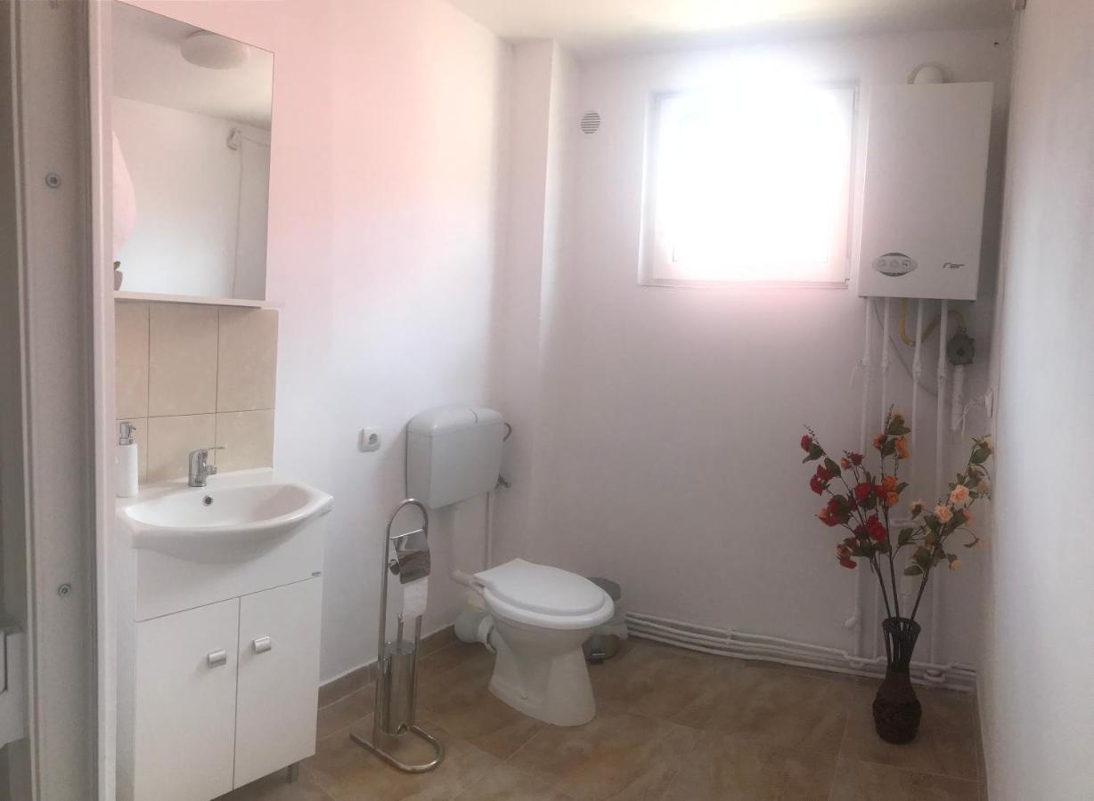 Spacious And Cozy 3Bd+Terrace Couples Apartment Тімішоара Екстер'єр фото